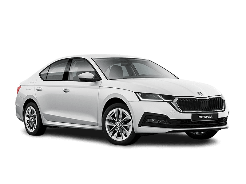 Купить Skoda Octavia в Ставрополе - Белый / Pure White